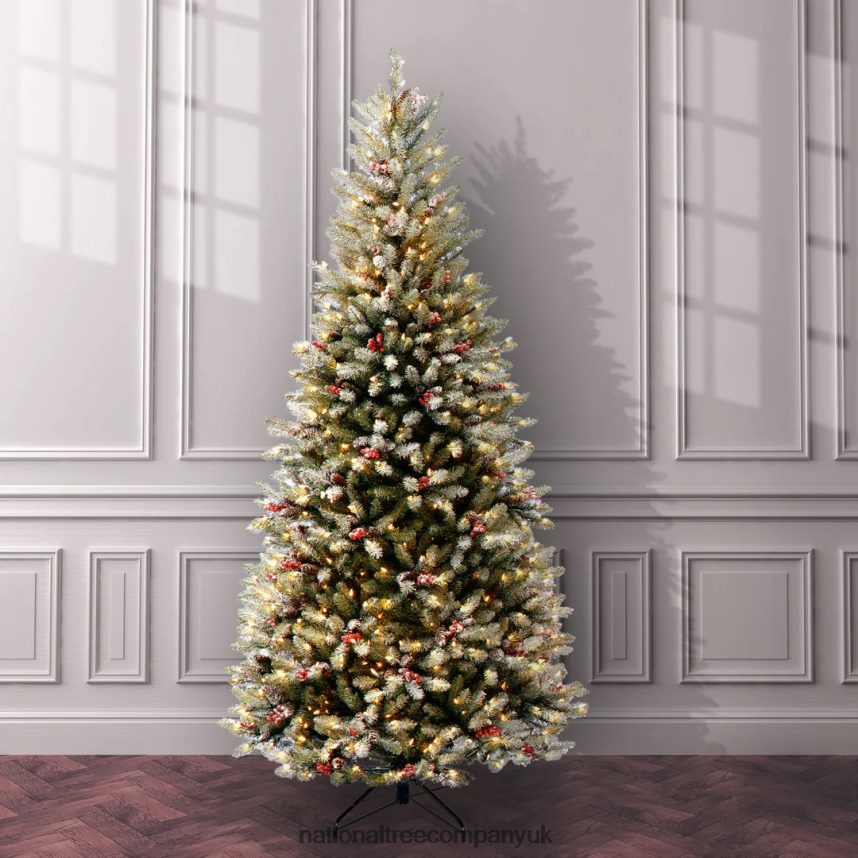 Trees | National Tree Company 75 ft Dunhill(R) Fir Slim Tree with Clear Lights F2L4F80